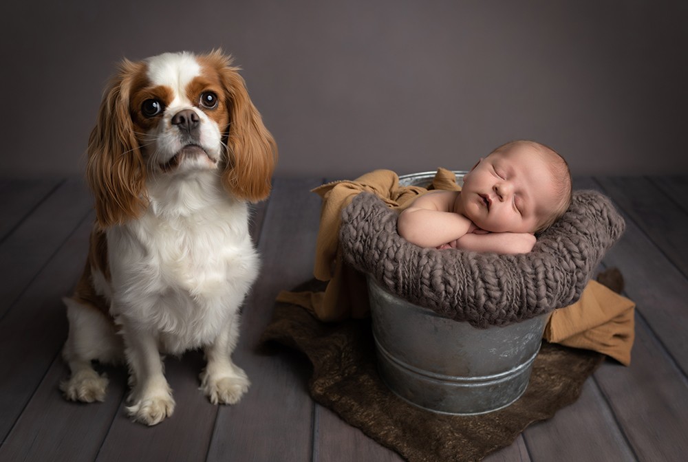 Newborn Photography with baby and dog
